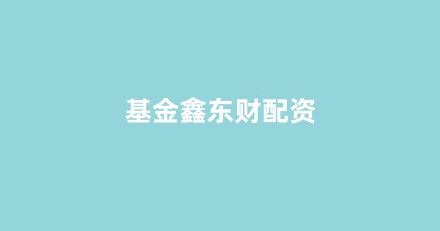 外汇配资
